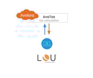 Avalara-lou-graphic1000
