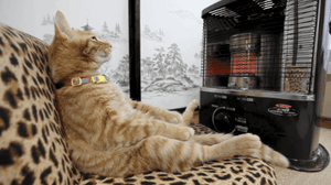 Keeping Warm During Winter